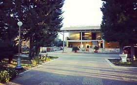 B&B Verdeoliva