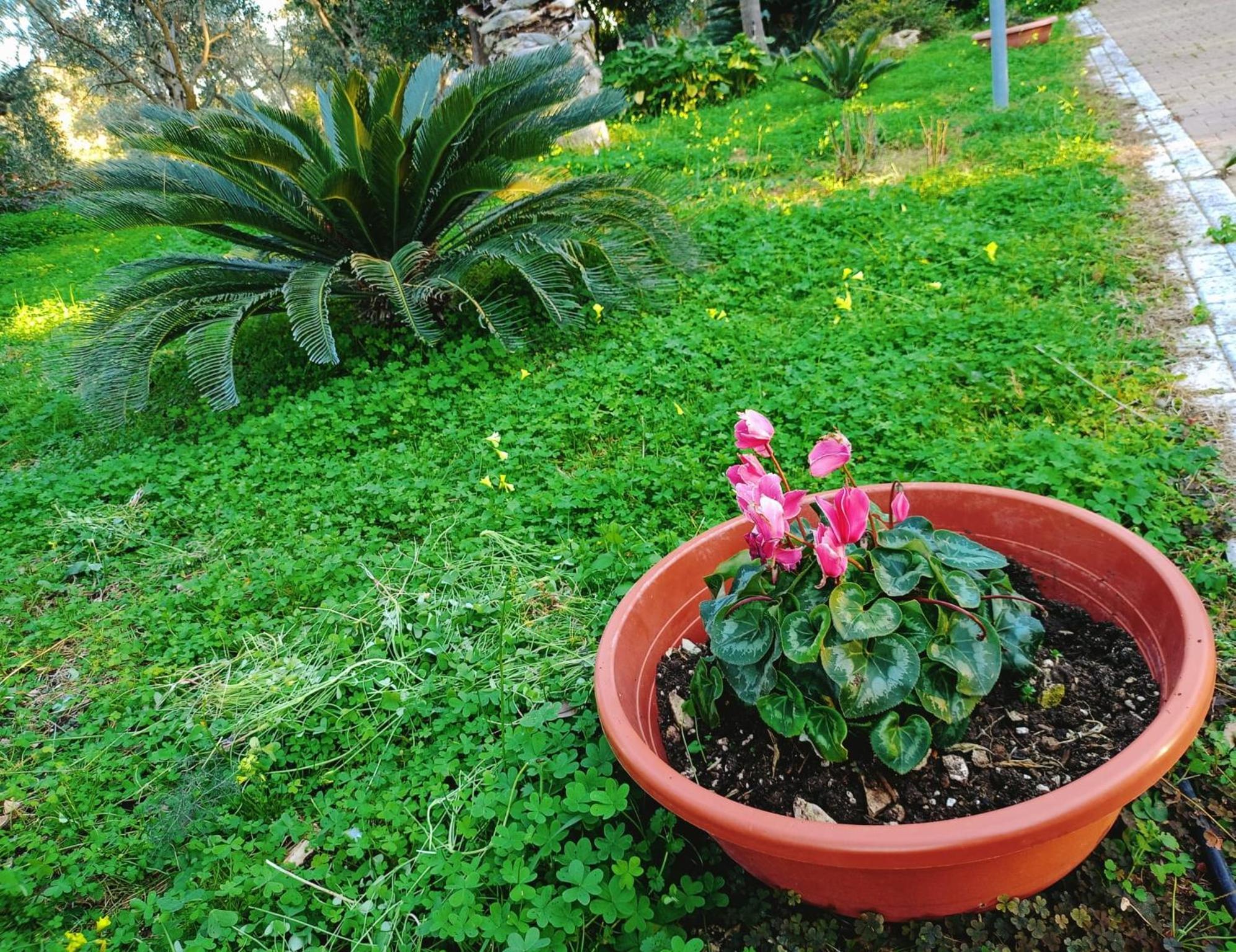 B&B Verdeoliva Modugno Extérieur photo